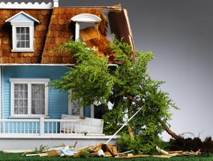 2 Reasons You Might Need Emergency Tree Removal