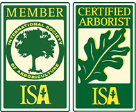 ISA ISA