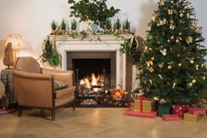 What to Do If Your Christmas Tree Starts to Bud and Grow