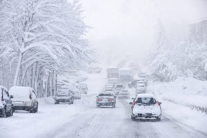 Protect Your Trees from De-Icing Salt this Winter!