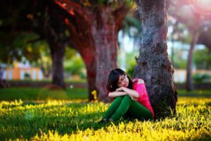 4 Essential Facts About Shade Trees