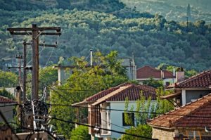 Keeping Power Lines Away from Your Trees