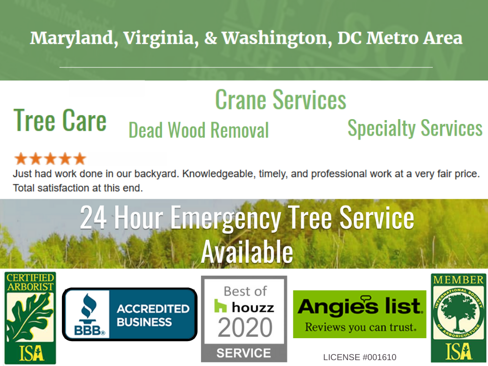 tree care company